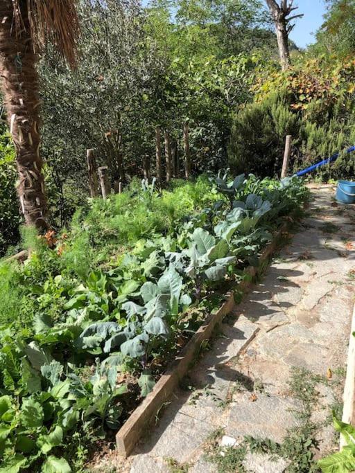 Ca' Cuore In Monferrato Serralunga di Crea Exterior foto